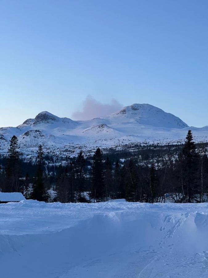 Brand New Cabin On The Sunny Side Of Gaustatoppen With A Great View Tuddal Kültér fotó