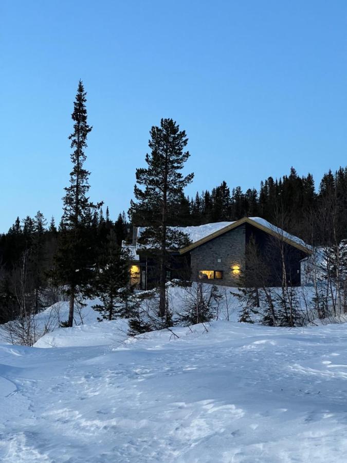 Brand New Cabin On The Sunny Side Of Gaustatoppen With A Great View Tuddal Kültér fotó