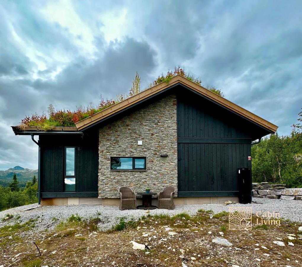 Brand New Cabin On The Sunny Side Of Gaustatoppen With A Great View Tuddal Kültér fotó