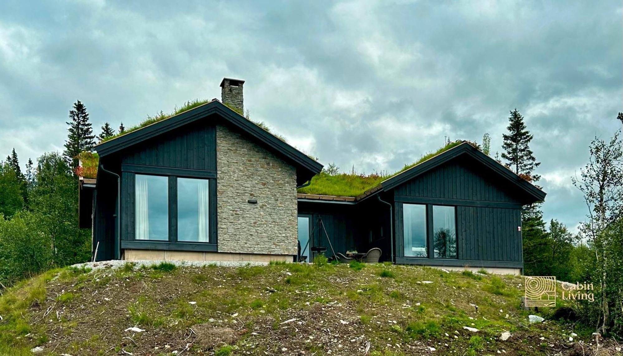 Brand New Cabin On The Sunny Side Of Gaustatoppen With A Great View Tuddal Kültér fotó