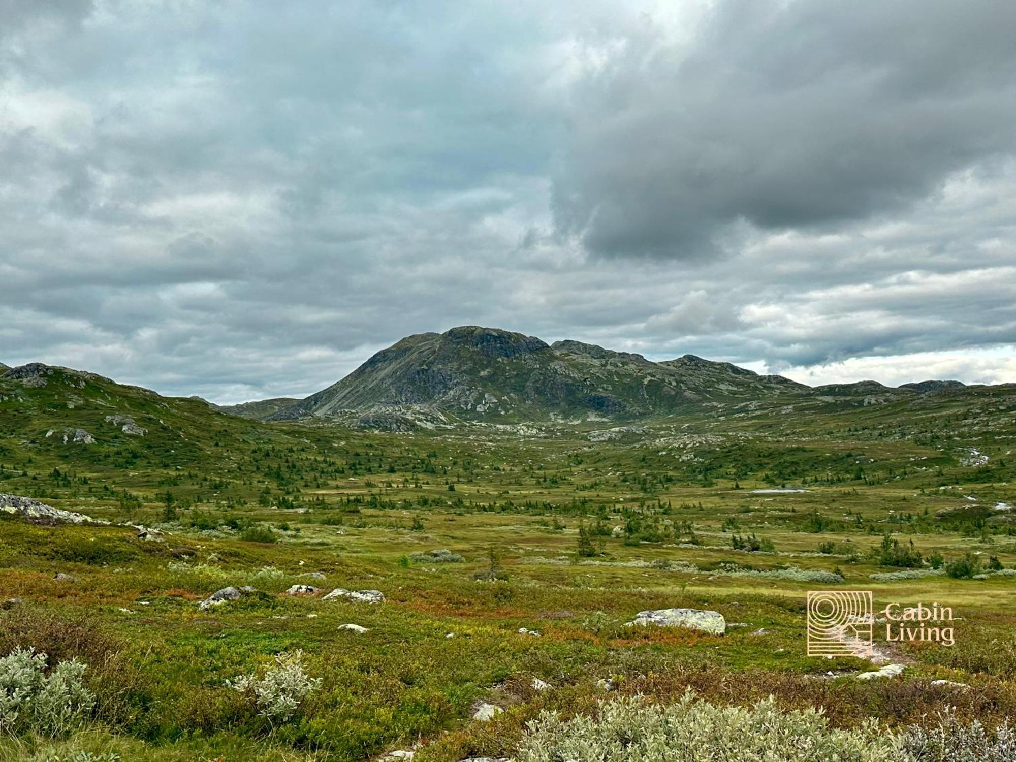 Brand New Cabin On The Sunny Side Of Gaustatoppen With A Great View Tuddal Kültér fotó