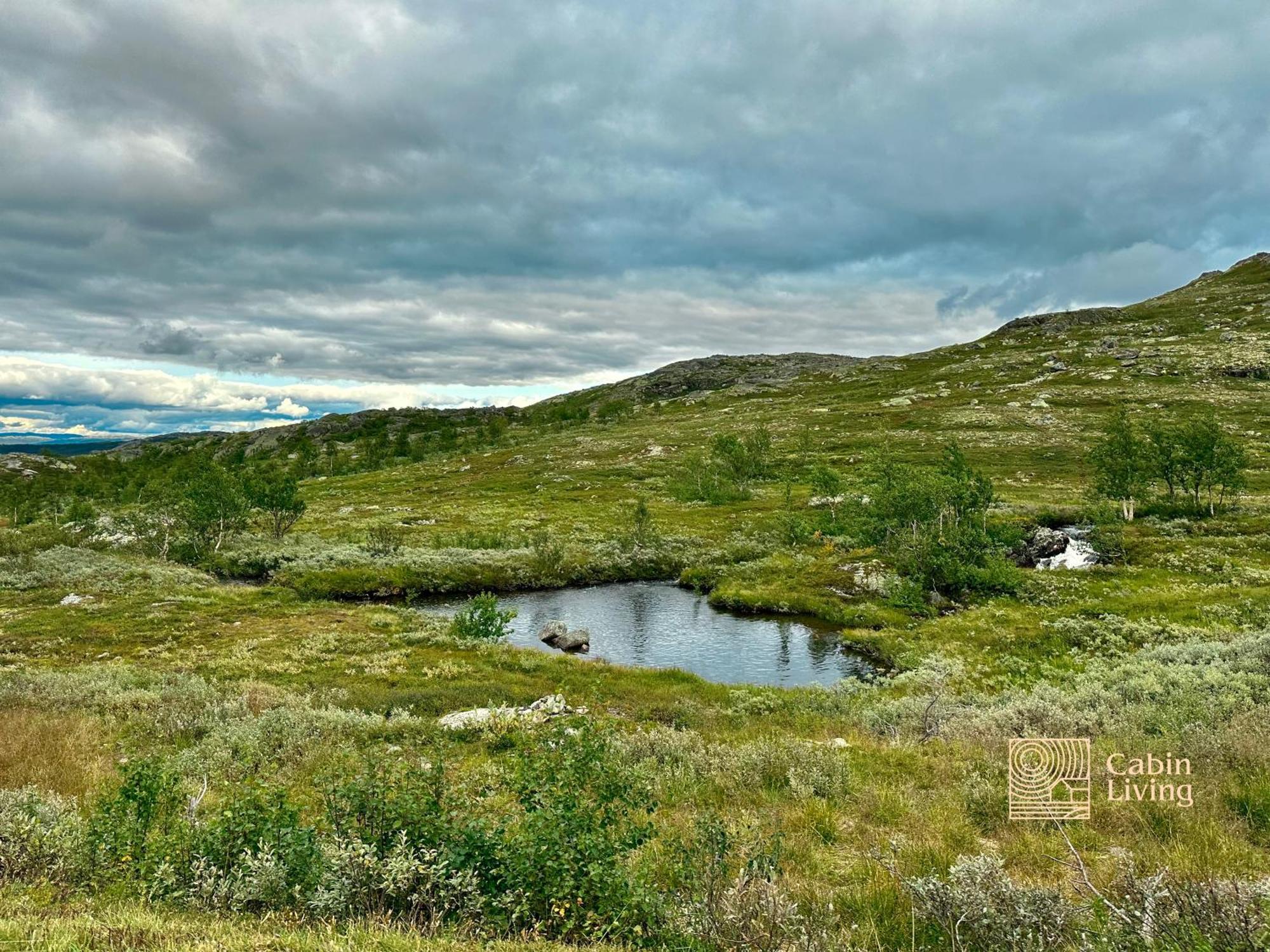Brand New Cabin On The Sunny Side Of Gaustatoppen With A Great View Tuddal Kültér fotó