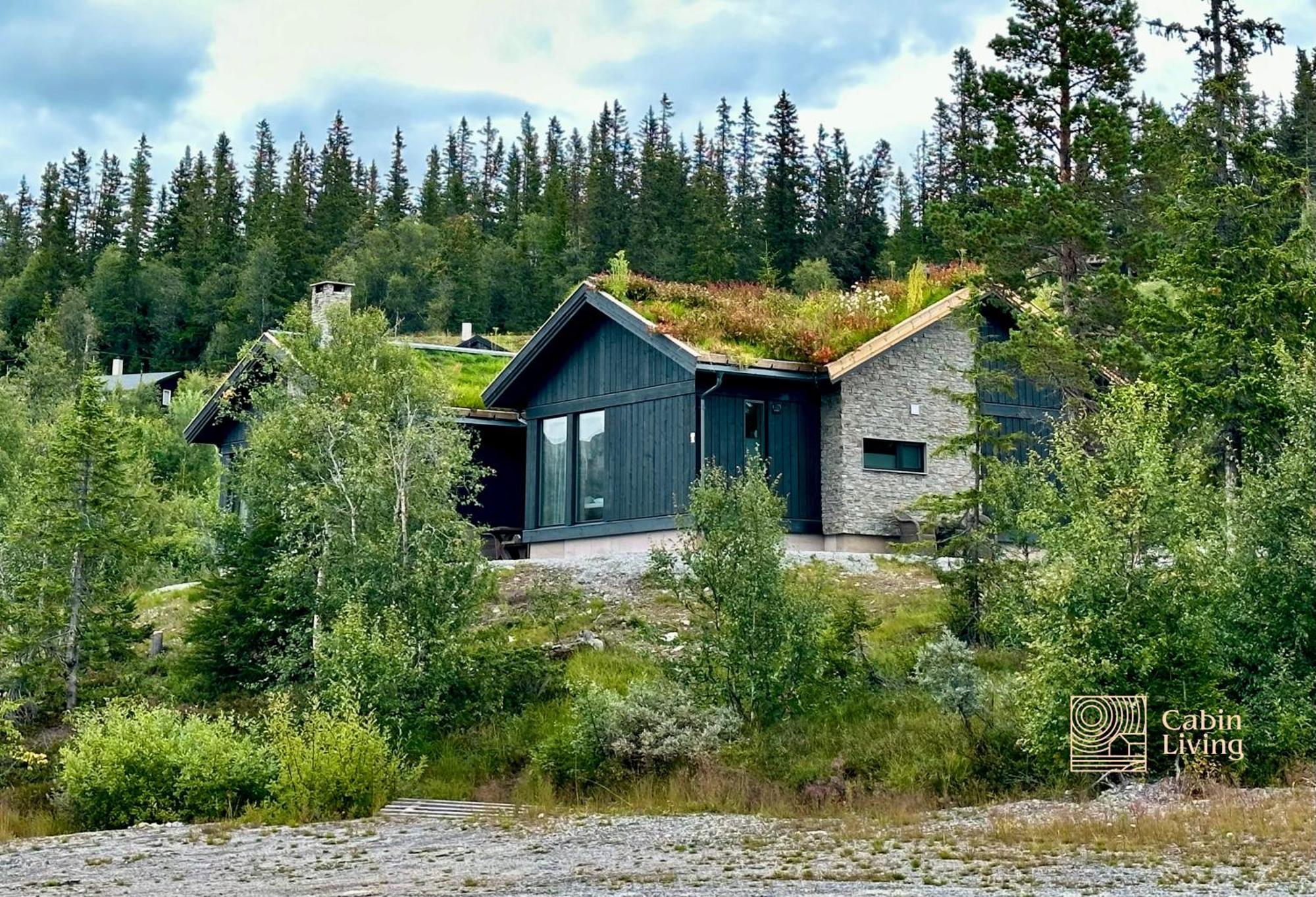 Brand New Cabin On The Sunny Side Of Gaustatoppen With A Great View Tuddal Kültér fotó